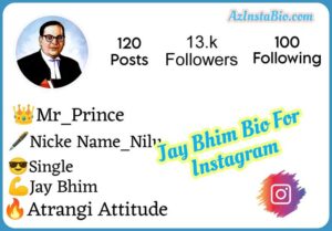 Jay Bhim Bio For Instagram 