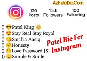 Instagram Bio For Patel Boys 