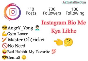 Instagram Bio Me Kya Likhe