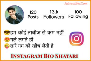 Instagram Bio Shayari 