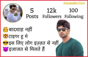 Attitude Instagram Bio In Hindi 