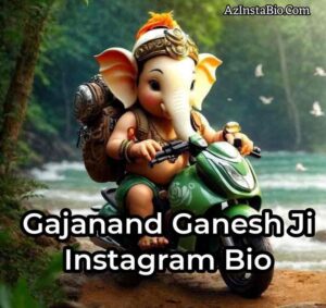 Gajanand Ganesh Ji Instagram Bio