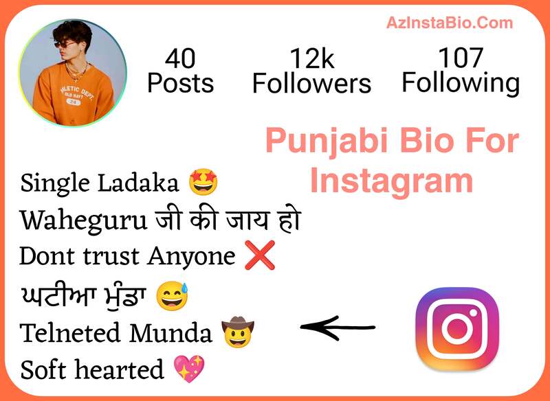 Punjabi Bio For Instagram 