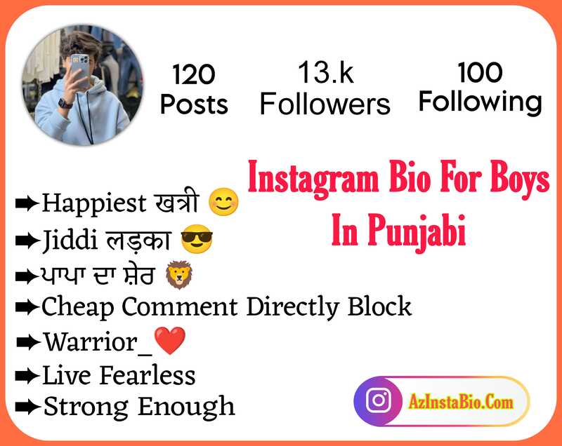 Instagram Bio For Boys In Punjabi 