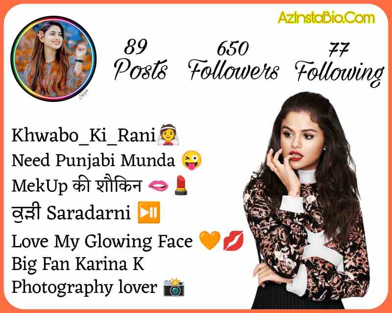 Instagram Bio For Girls In Punjabi 