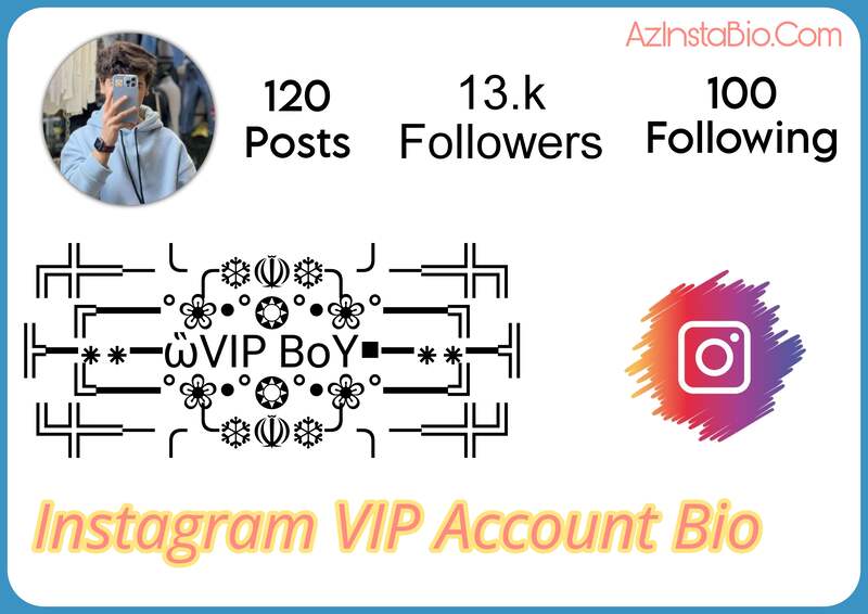 Instagram Vip Account Bio 