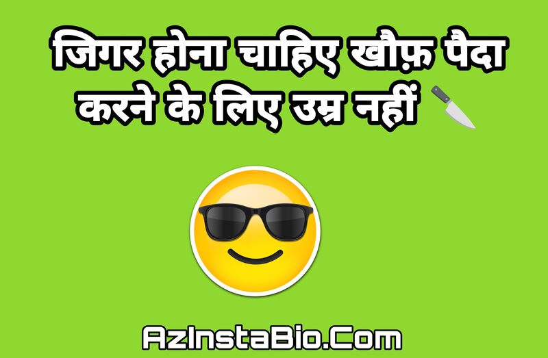 Attitude Whatsapp Bio In Hindi 