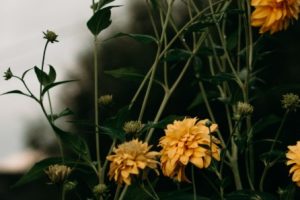 5 Considerations for Managing Floral Product Inventory