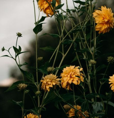 5 Considerations for Managing Floral Product Inventory