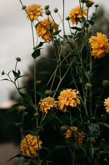 5 Considerations for Managing Floral Product Inventory